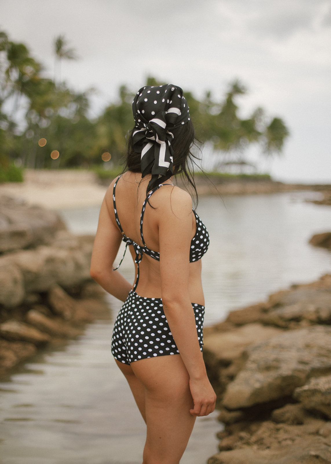 Signature Low Rise Short - Americano Dot